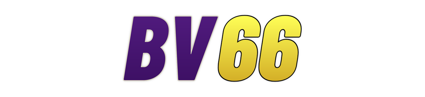 bv66
